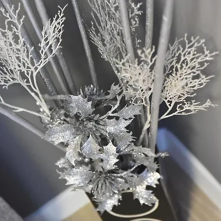 Legacy Marine2 - Zadar, Luxury *